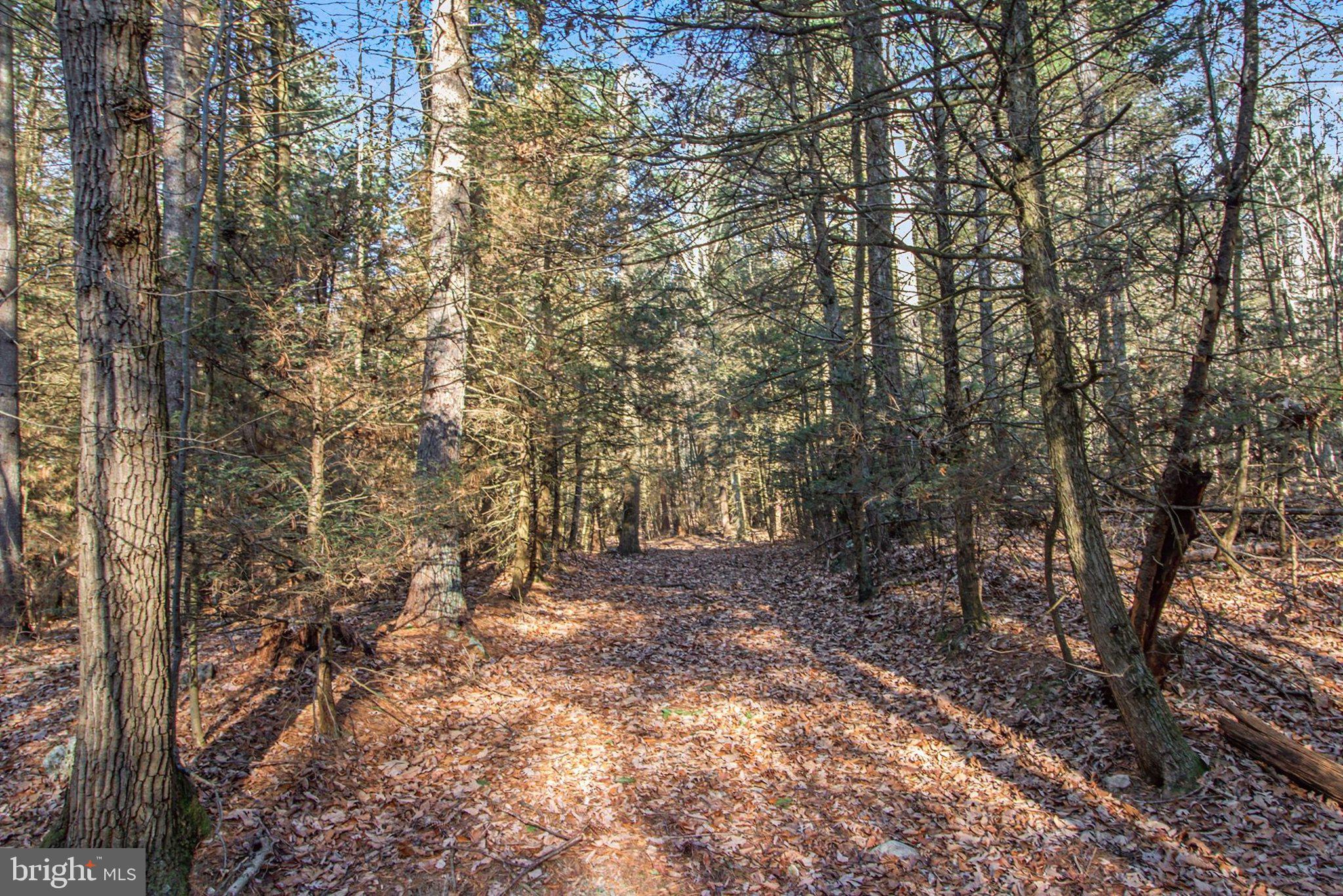 0 Hickory Ridge Road Newport, PA 17074 - Photo 5 of 18