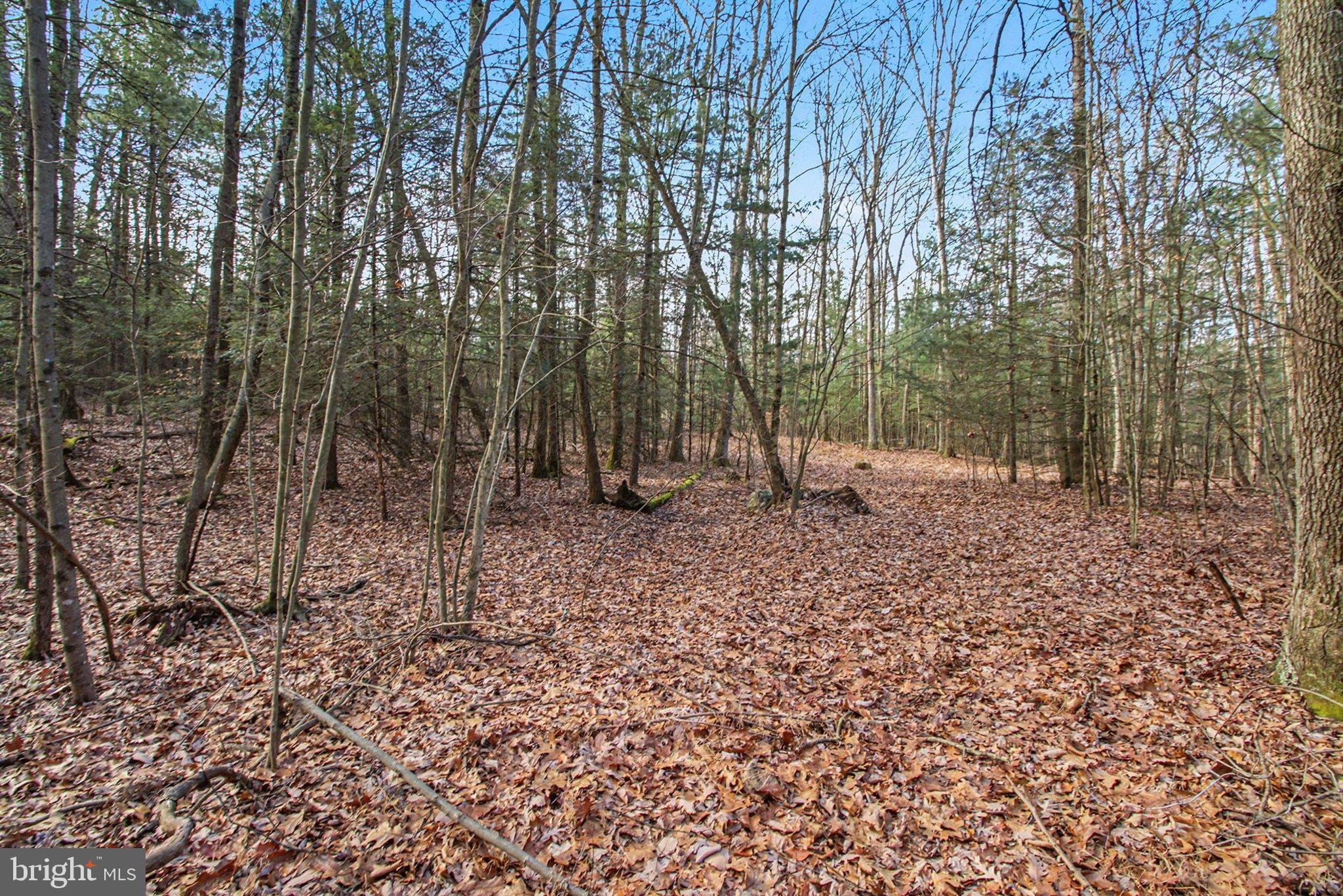 0 Hickory Ridge Road Newport, PA 17074 - Photo 6 of 18