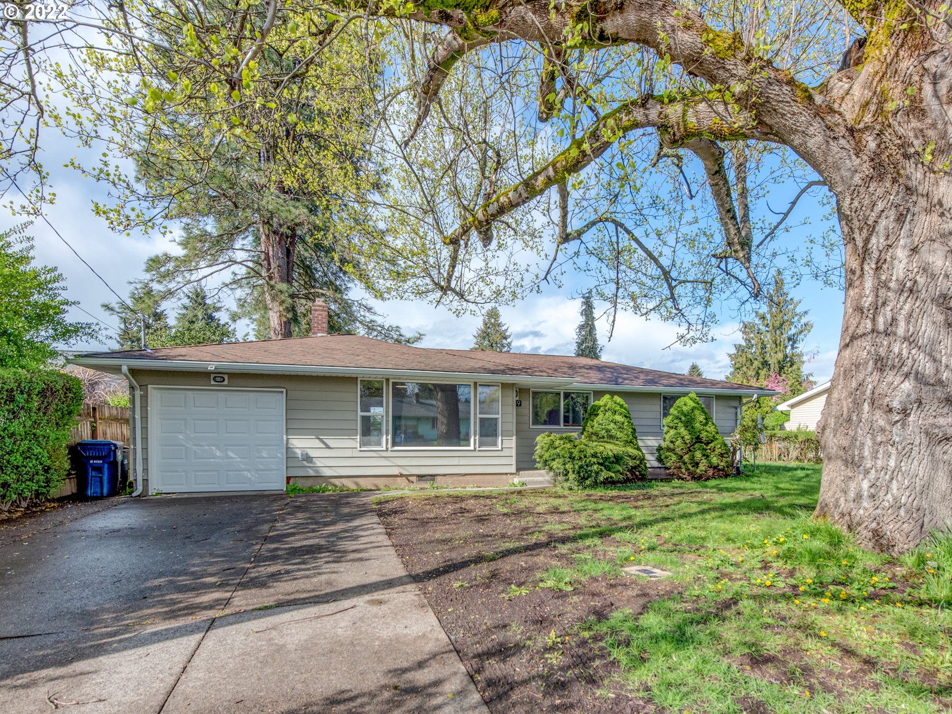 749 Maxwell Road Eugene, OR 97404 - Photo 3 of 24 Gallery Image 3