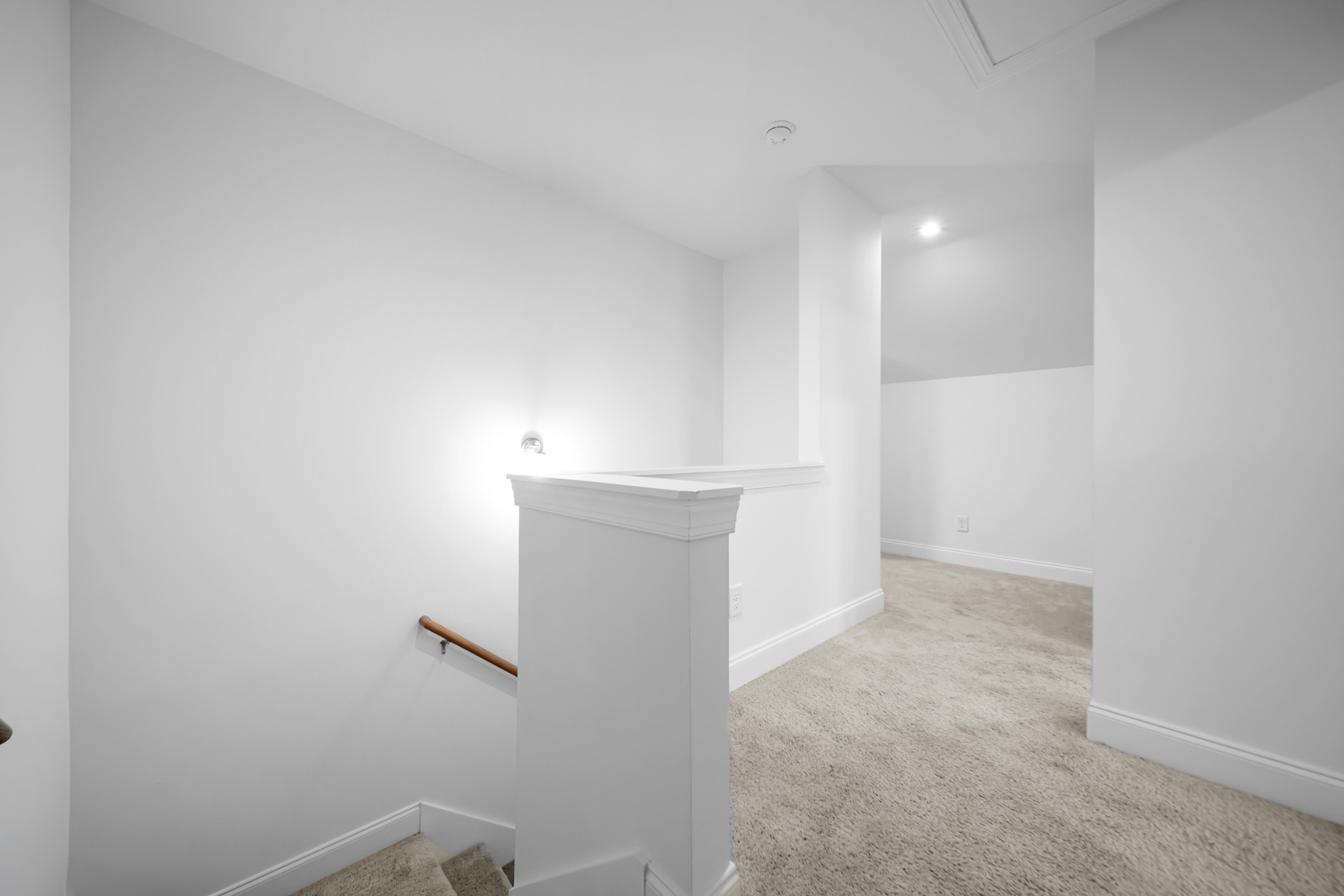 579 Faye Alley Springfield, TN 37172 - Photo 33 of 49