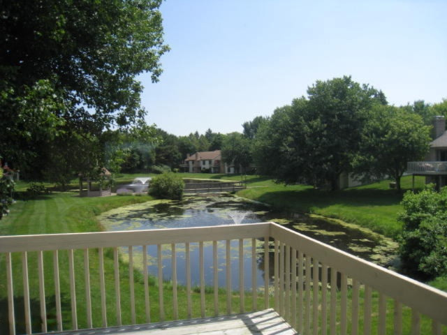 17542 Meadow Wood Road Spring Lake, MI 49456 - Photo 7 of 26 IMG_1797