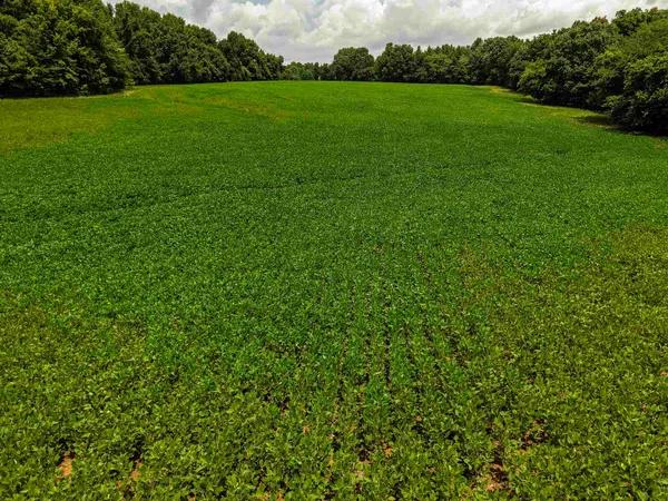 $1,475,000 | 0 Mae Sigma Road, Brighton, TN 38011