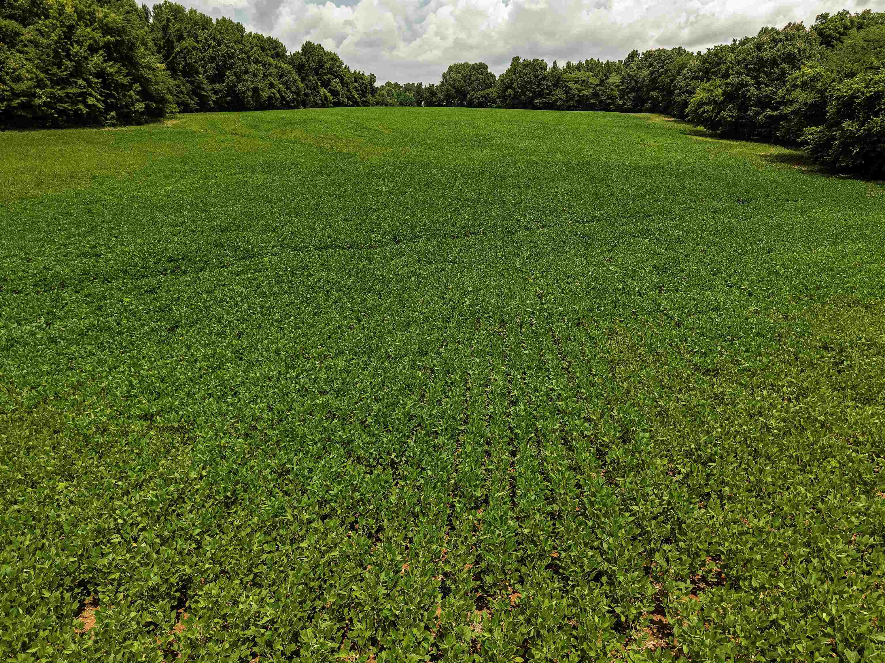 0 Mae Sigma Road Brighton, TN 38011 - Photo 1 of 35