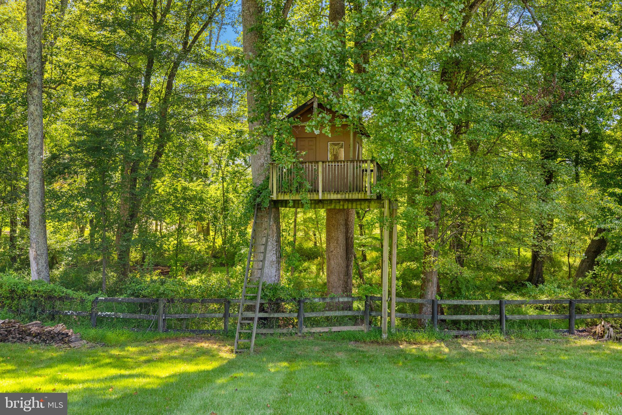 1205 Towlston Road McLean, VA 22102 - Photo 22 of 66