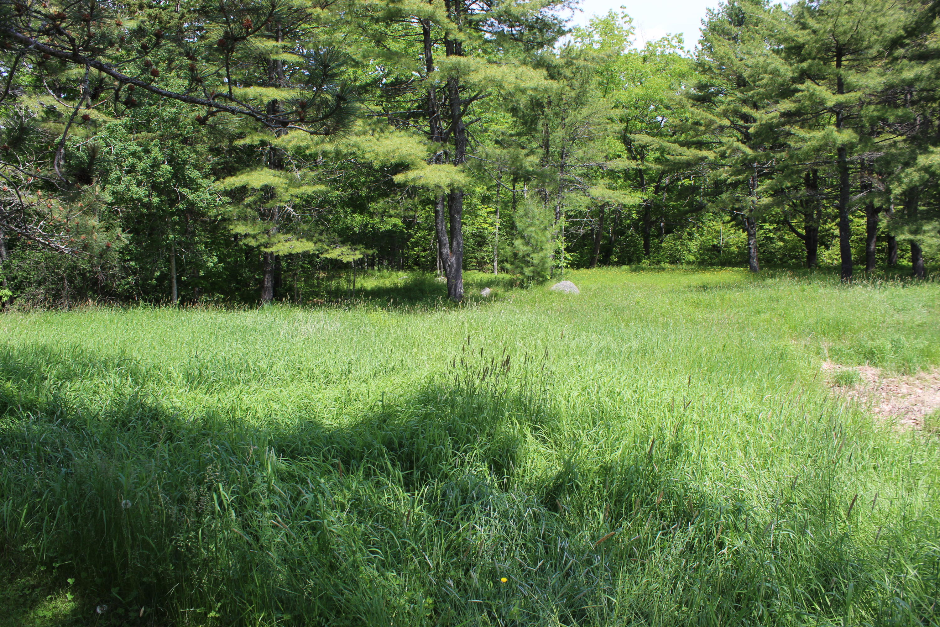 447 Castine Road Orland, ME 04472 - Photo 85 of 92 IMG_7521
