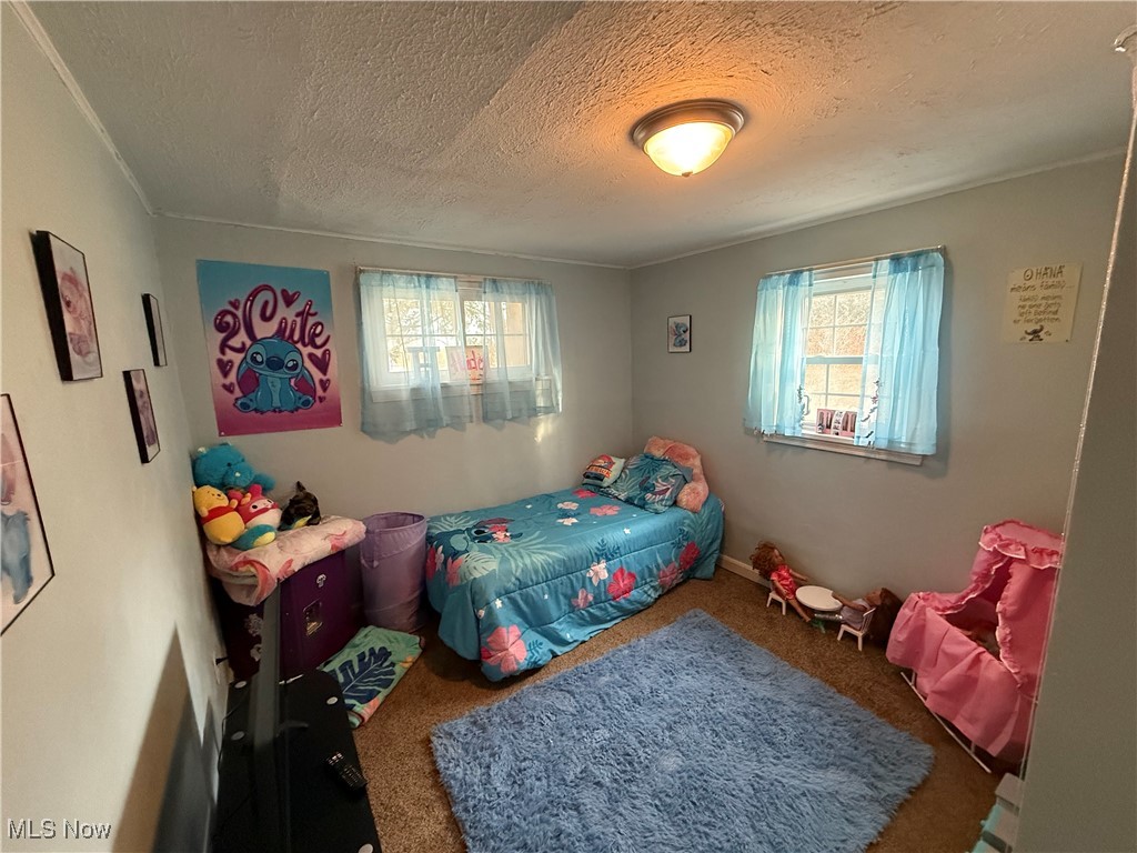 446 Warner Road Southeast Vienna, OH 44473 - Photo 26 of 32 Bedroom with carpet floors and a textured ceiling