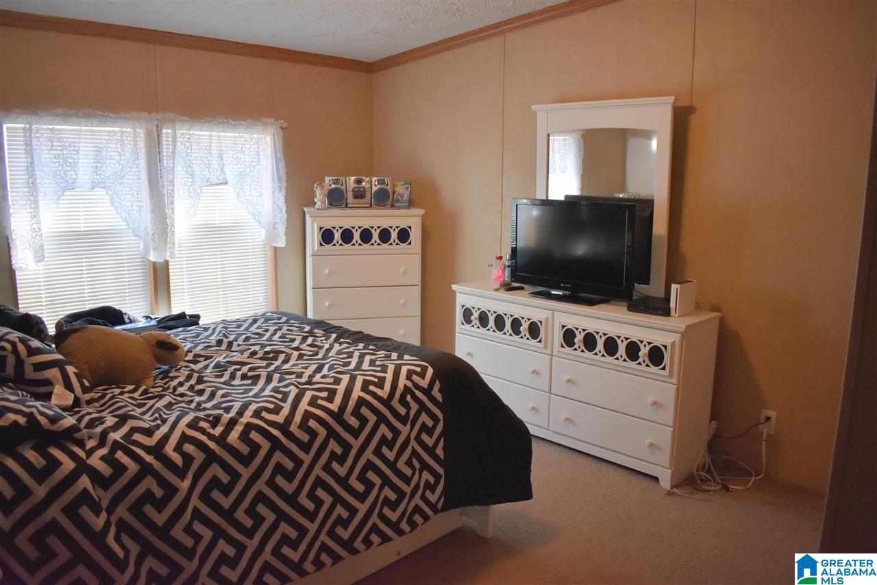 49 Jim Bagwell Road Empire, AL 35063 - Photo 12 of 16