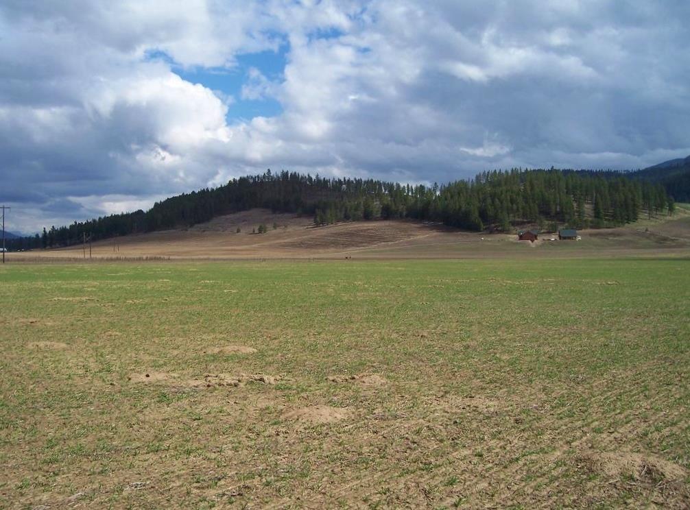835 Mingo Mountain Road Kettle Falls, WA 99141 - Photo 3 of 10 Gallery Image 3