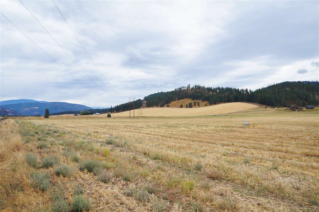 835 Mingo Mountain Road Kettle Falls, WA 99141 - Photo 8 of 10 Gallery Image 8