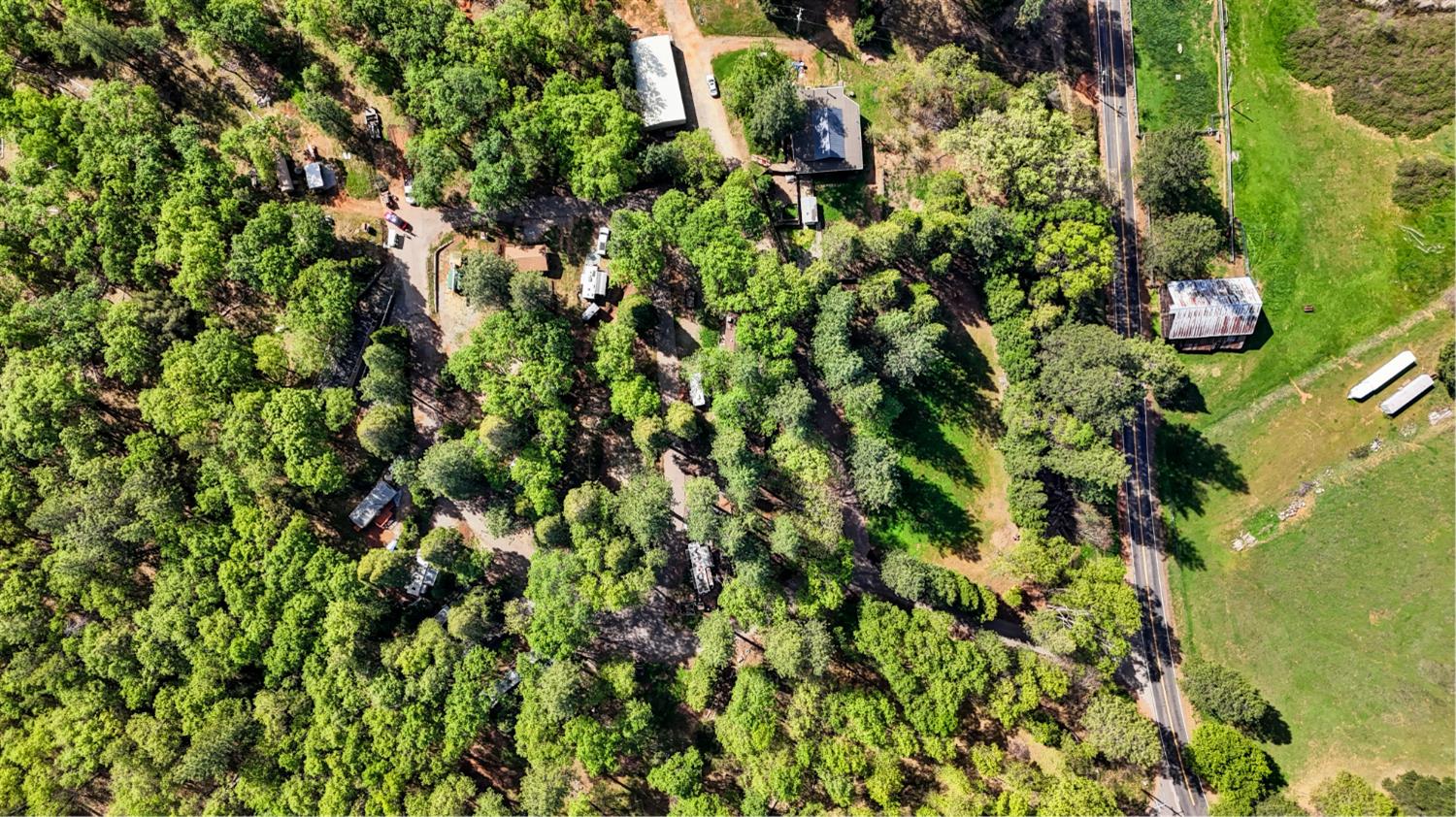 a view of a plant with lots of bushes
