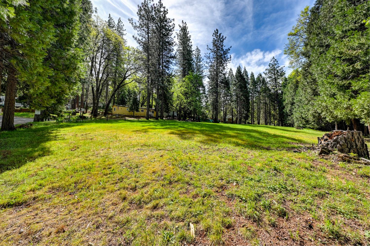 245 Railroad Flat Road Rail Road Flat, CA 95248 - Photo 16 of 20 a view of a trees in a yard