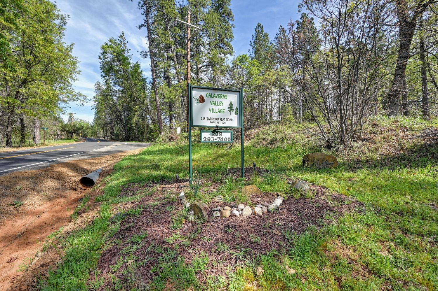 245 Railroad Flat Road Rail Road Flat, CA 95248 - Photo 17 of 20 a view of a park with large trees