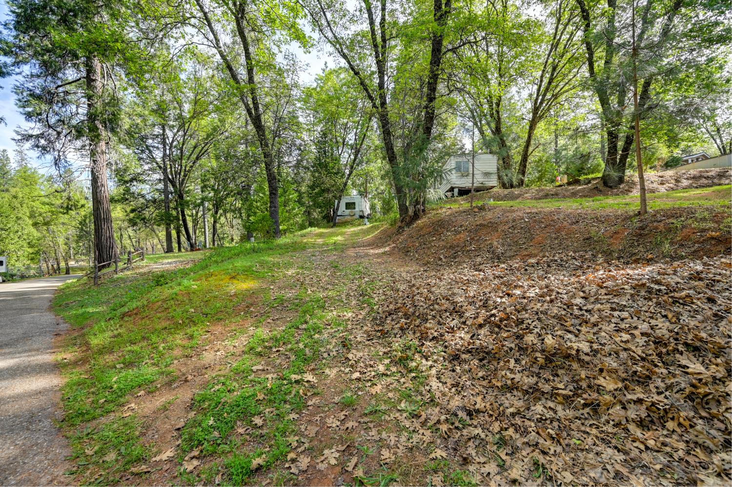 245 Railroad Flat Road Rail Road Flat, CA 95248 - Photo 6 of 20 a view of a tree in a yard