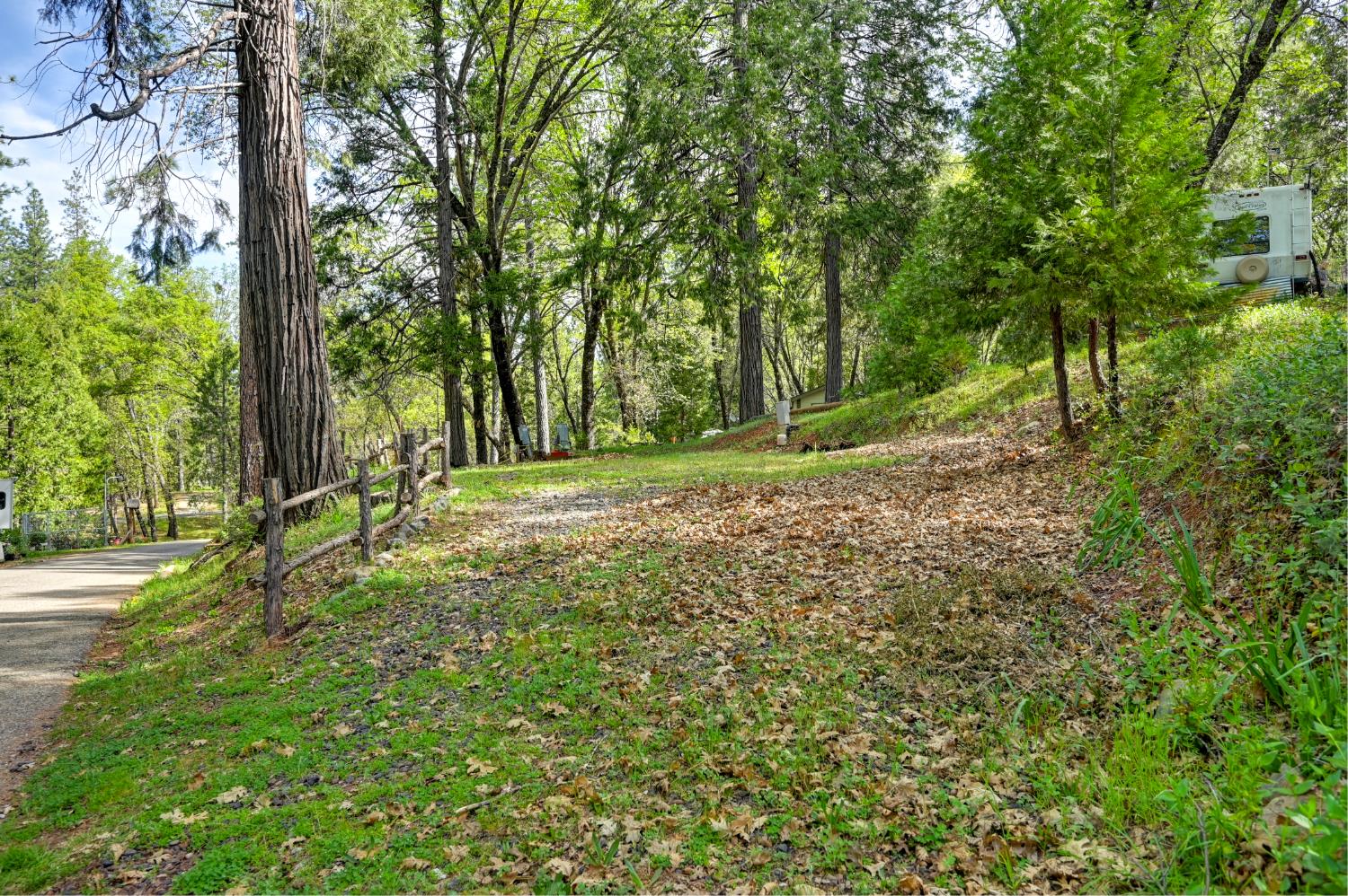245 Railroad Flat Road Rail Road Flat, CA 95248 - Photo 7 of 20 a view of a yard with a tree