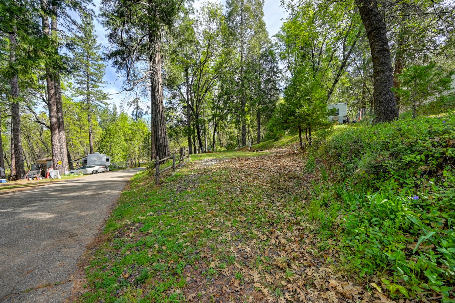 245 Railroad Flat Road Rail Road Flat, CA 95248 - Photo 8 of 20 a view of road with trees