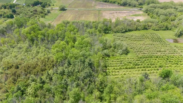 $87,900 | Vl East South Centenary Road, Sodus, NY 14551