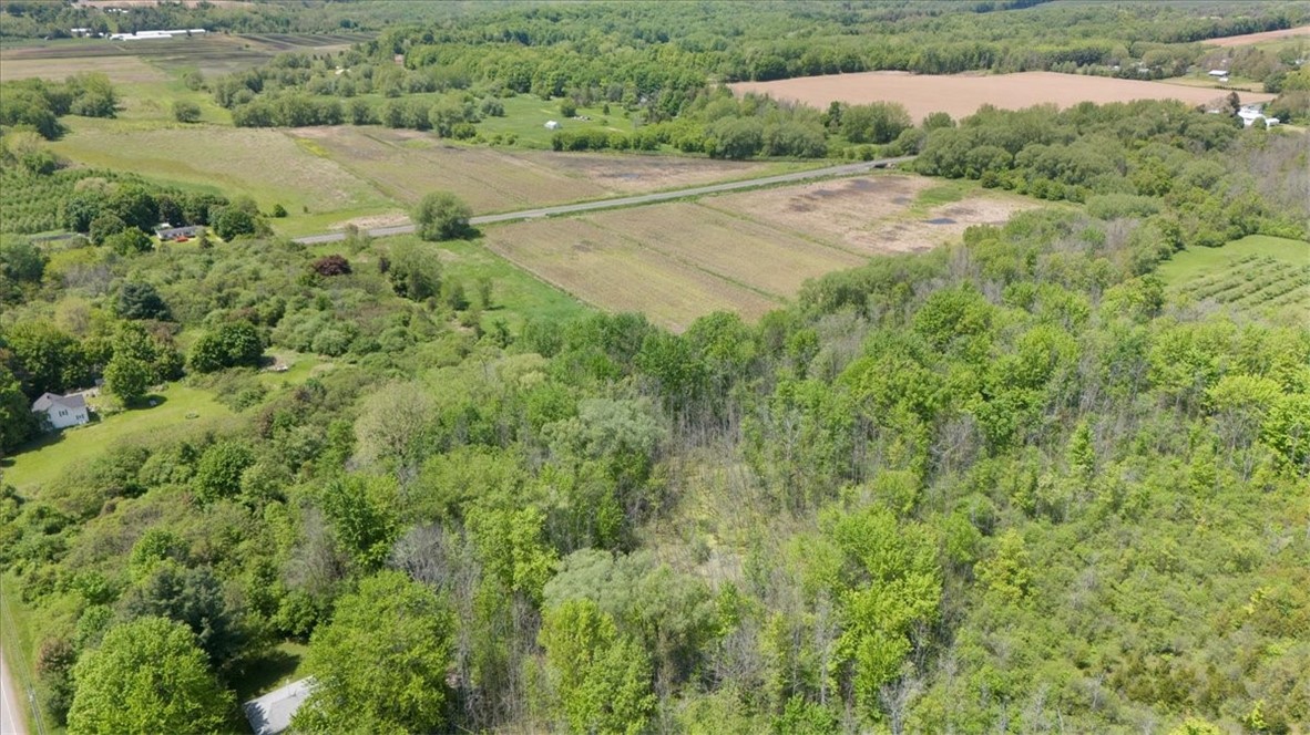 Vl East South Centenary Road Sodus, NY 14551 - Photo 14 of 17