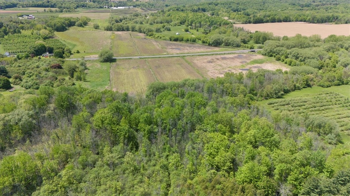 Vl East South Centenary Road Sodus, NY 14551 - Photo 16 of 17