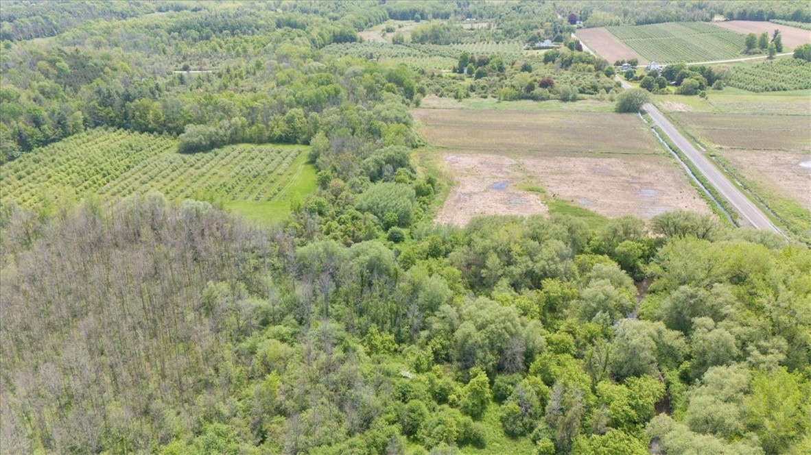 Vl East South Centenary Road Sodus, NY 14551 - Photo 4 of 17