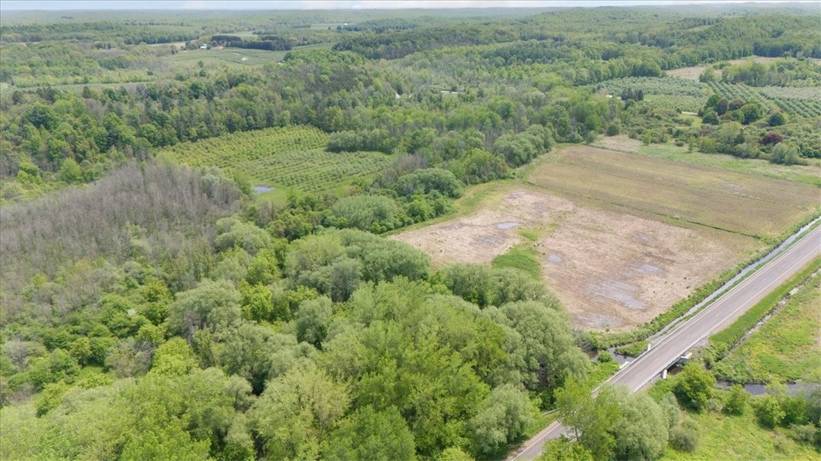 Vl East South Centenary Road Sodus, NY 14551 - Photo 6 of 17