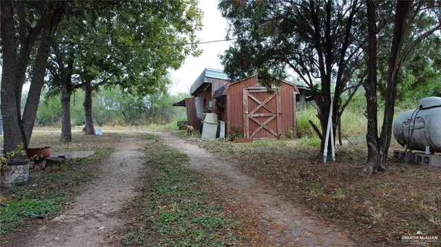 a view of a yard with plants