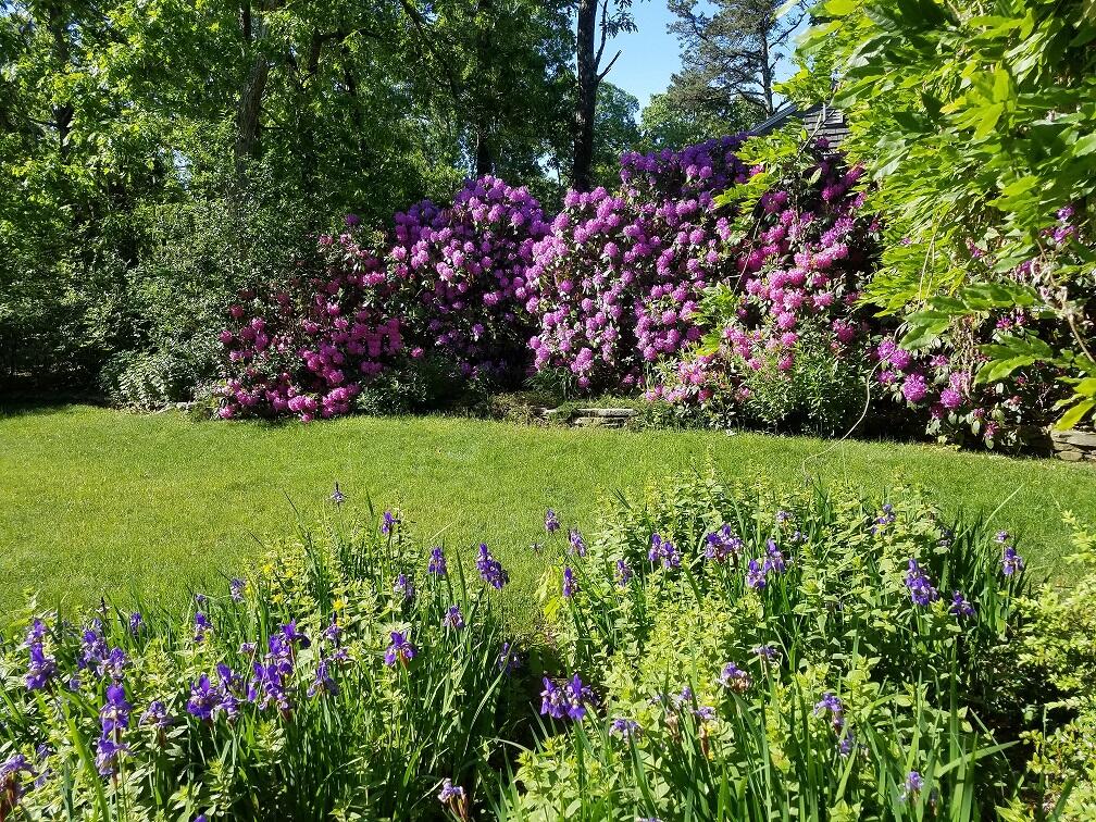 18 Ryder Road Harwich, MA 02645 - Photo 4 of 35 4