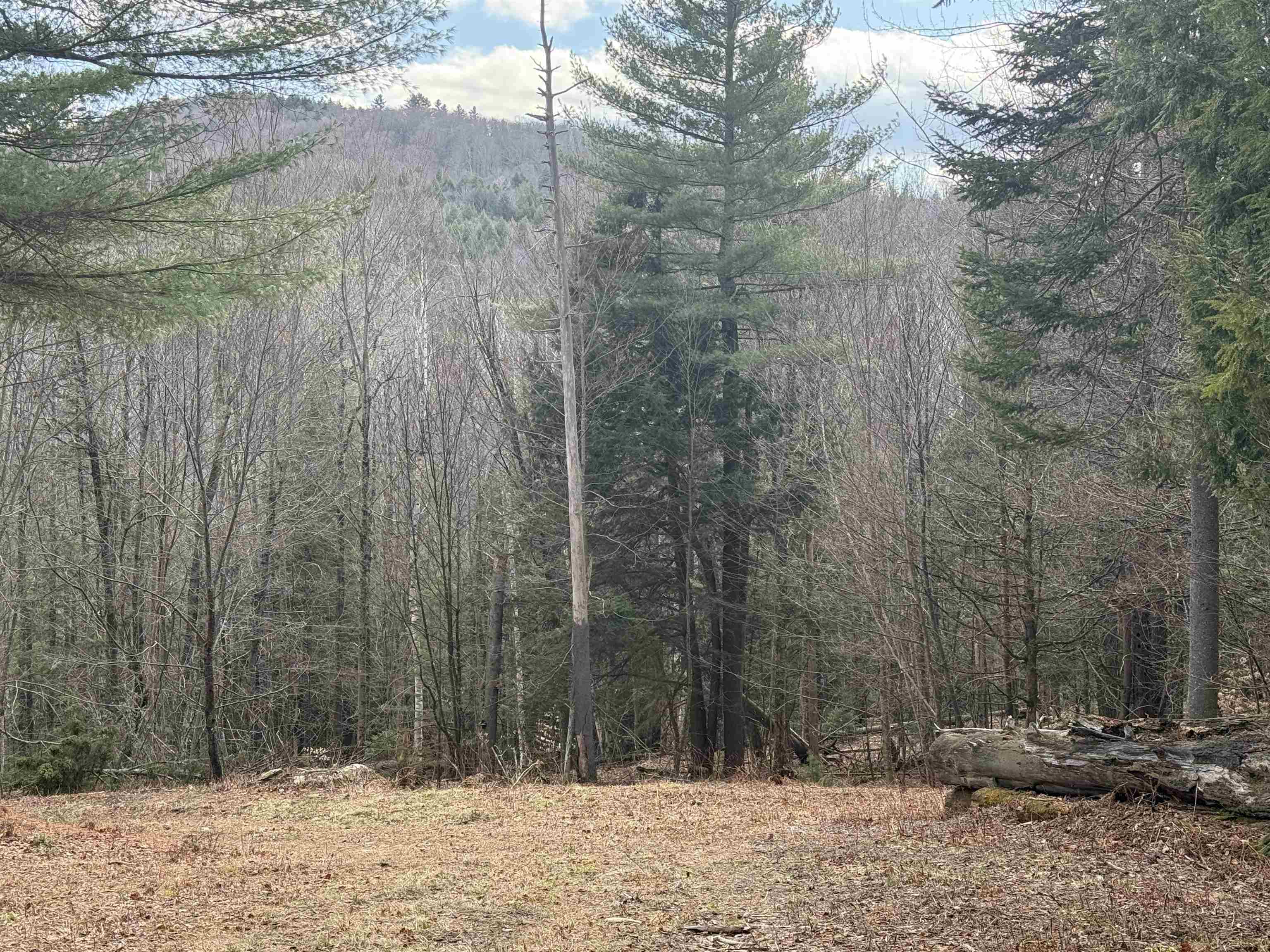 0 Brook Road Warren, VT 05674 - Photo 5 of 25