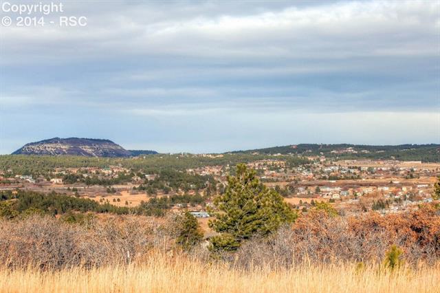 3827 Roberts Ridge Place Monument, CO 80132 - Photo 4 of 9 Gallery Image 4
