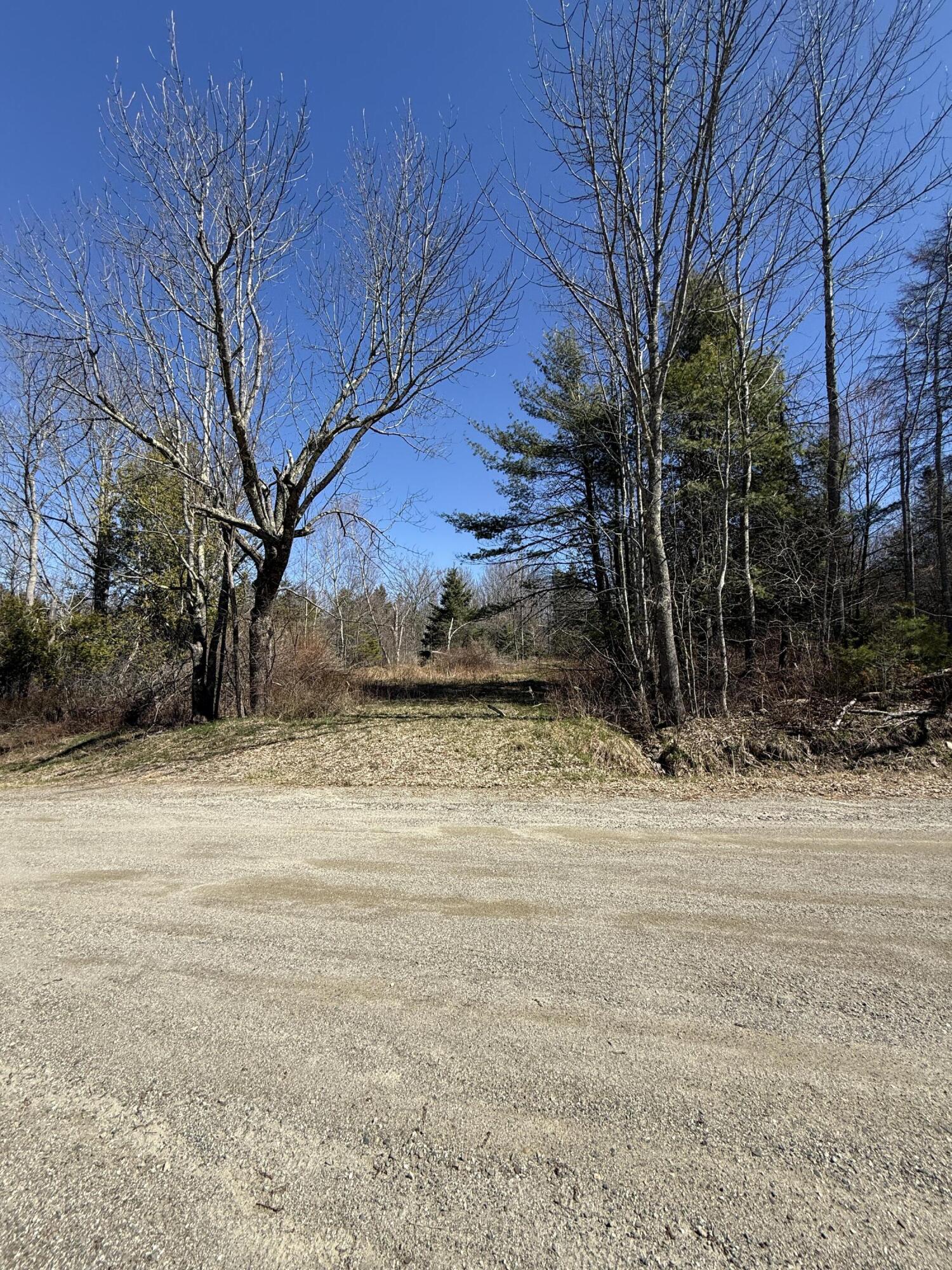 Lot 017-00 Fisher Road Holden, ME 04429 - Photo 14 of 14 IMG_6725