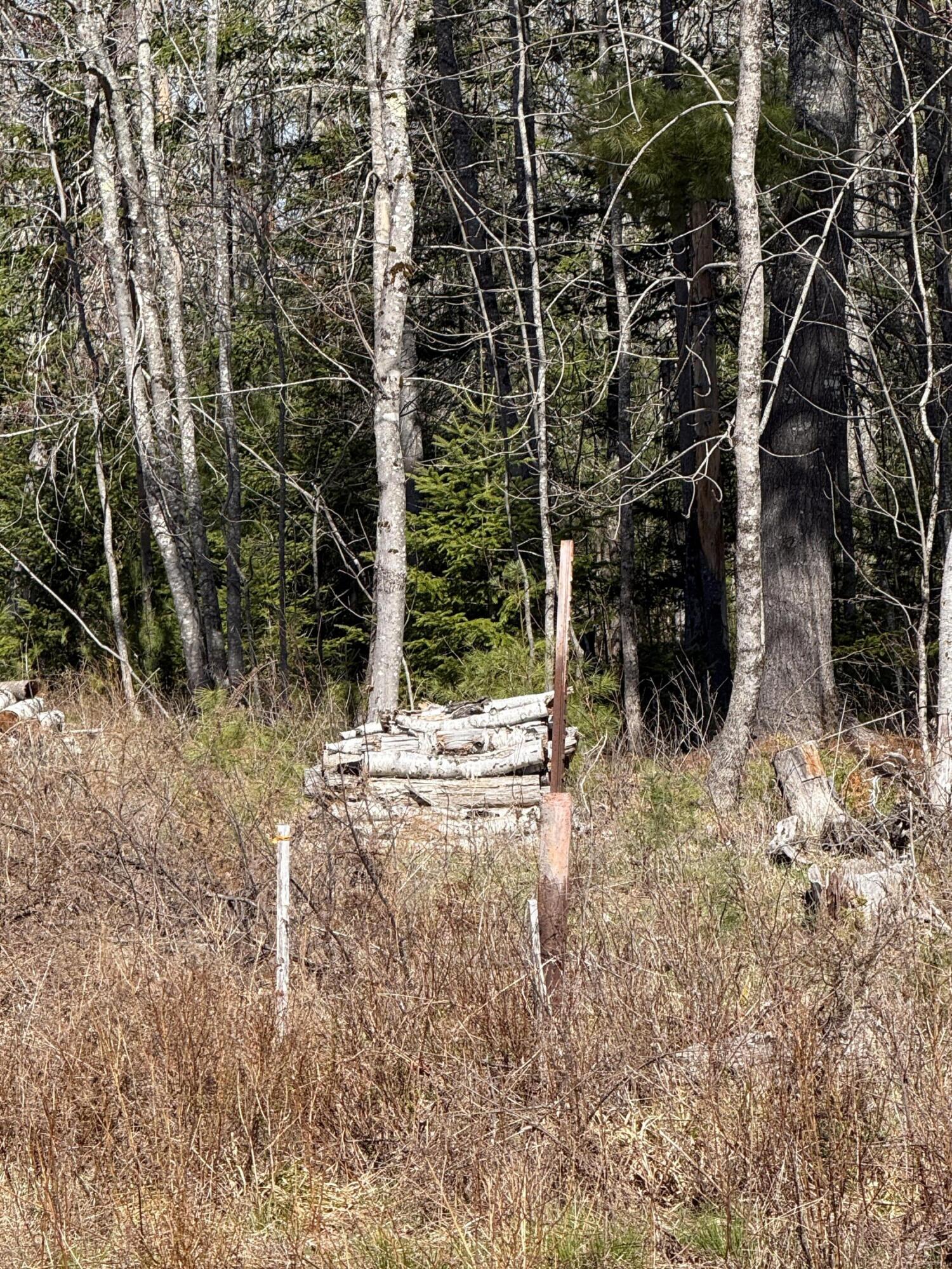 Lot 017-00 Fisher Road Holden, ME 04429 - Photo 4 of 14 IMG_6722