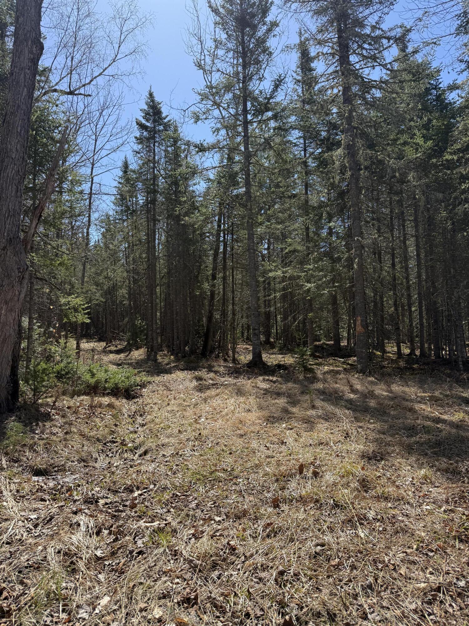 Lot 017-00 Fisher Road Holden, ME 04429 - Photo 7 of 14 IMG_6746
