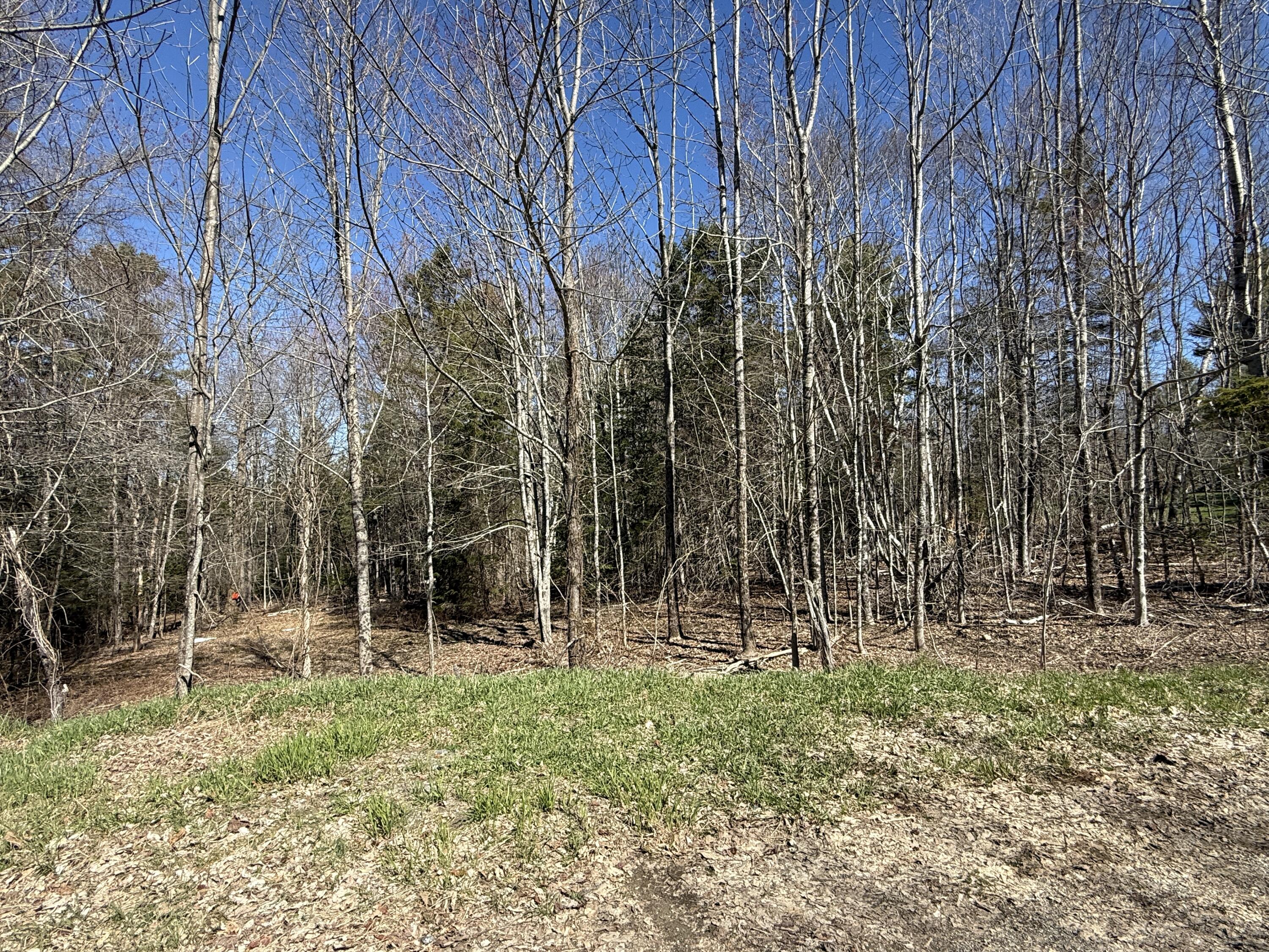 Lot 017-00 Fisher Road Holden, ME 04429 - Photo 8 of 14 IMG_6728