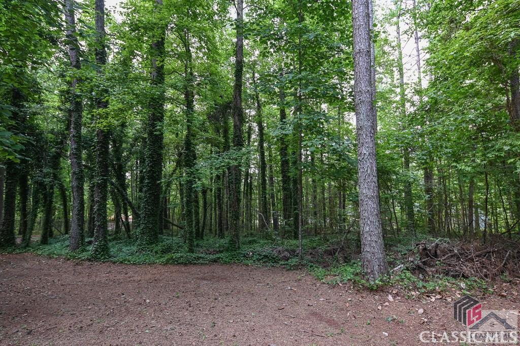 2255 Wall Road Monroe, GA 30656 - Photo 42 of 49 Gallery Image 42