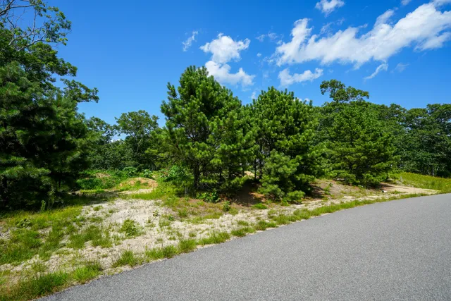a view of a yard with swimming pool
