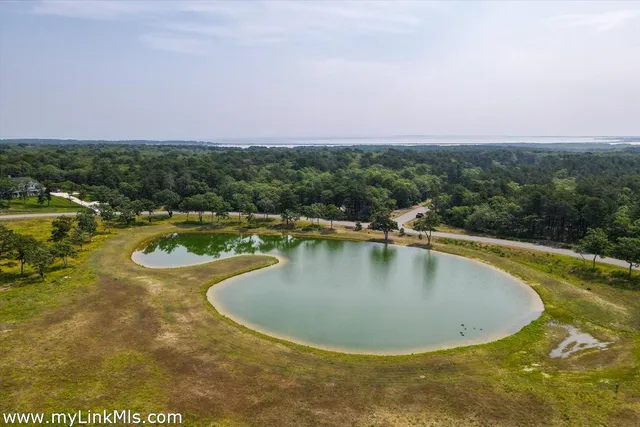 a view of a swimming pool with a yard