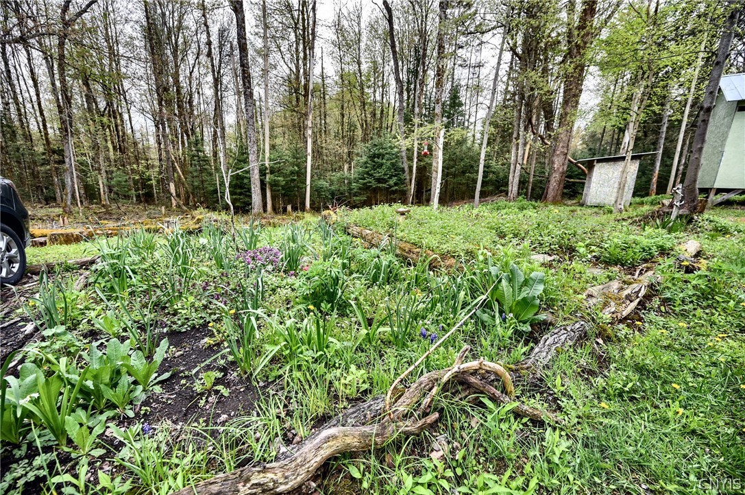 206 Conway Road Ohio, NY 13324 - Photo 28 of 39