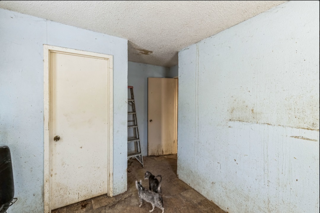 15095 Nees Lane Effingham, IL 62401 - Photo 11 of 36