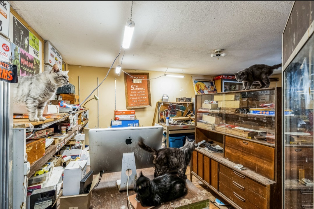 15095 Nees Lane Effingham, IL 62401 - Photo 15 of 36