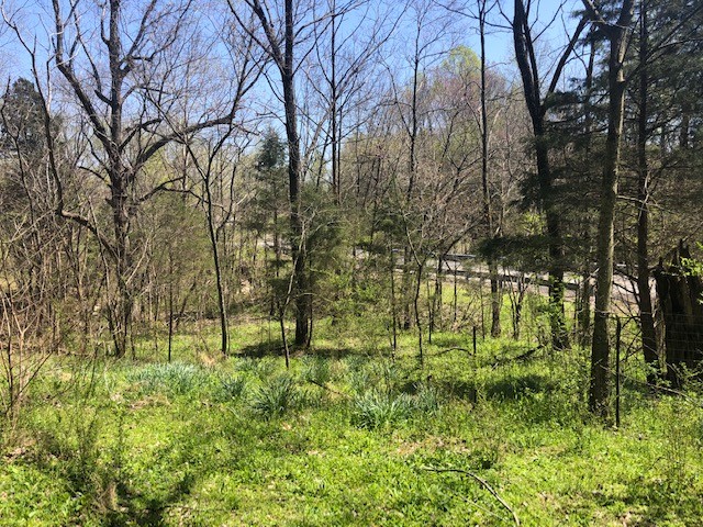 2855 Oak Grove Church Road Bethpage, TN 37022 - Photo 21 of 30 Gallery Image 21