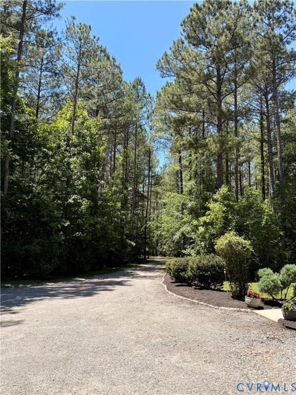 11451 Black Road Chesterfield, VA 23838 - Photo 53 of 55 Top of the driveway