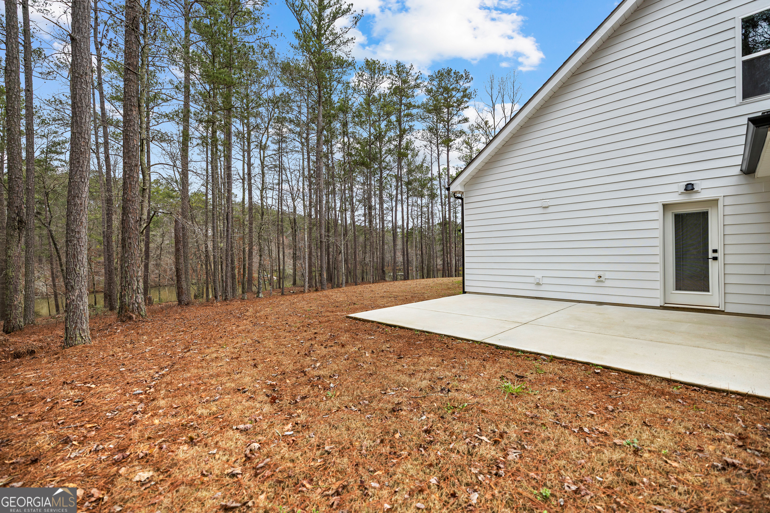 354 Turner Road Newnan, GA 30263 - Photo 63 of 83