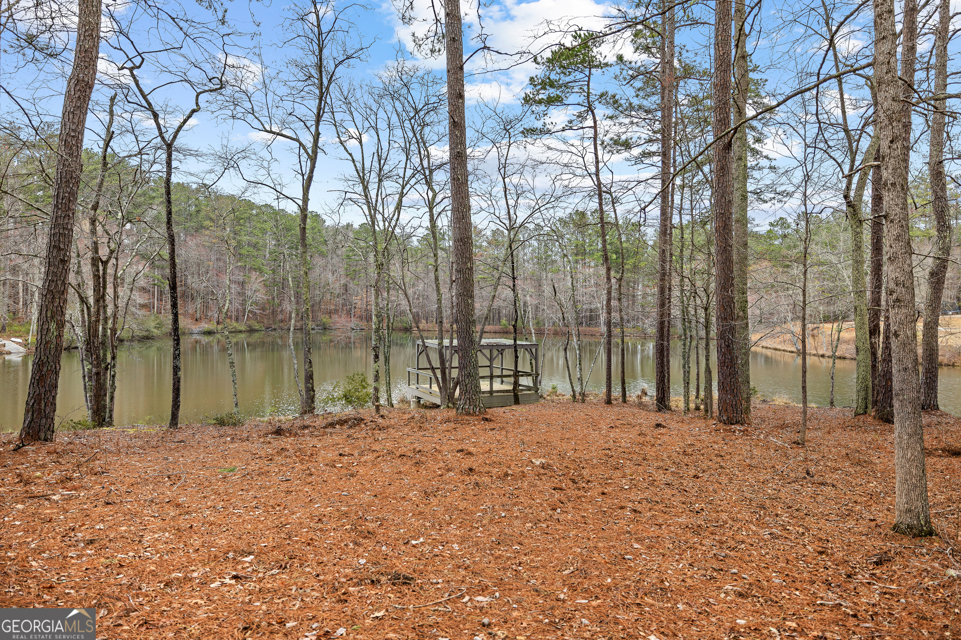 354 Turner Road Newnan, GA 30263 - Photo 71 of 83 a backyard of a house with lots of green space and fountain