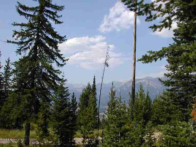 Lot 19 Elk Ridge Ranch Gallatin Gateway, MT 59730 - Photo 1 of 1 Gallery Image 1