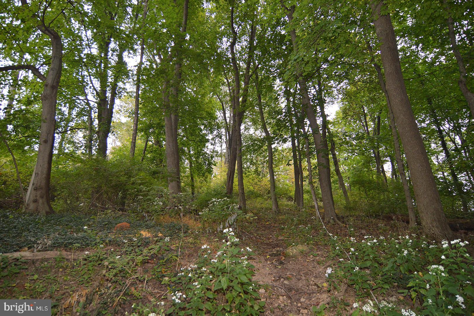 303 Crystal Rock Road Temple, PA 19560 - Photo 67 of 72