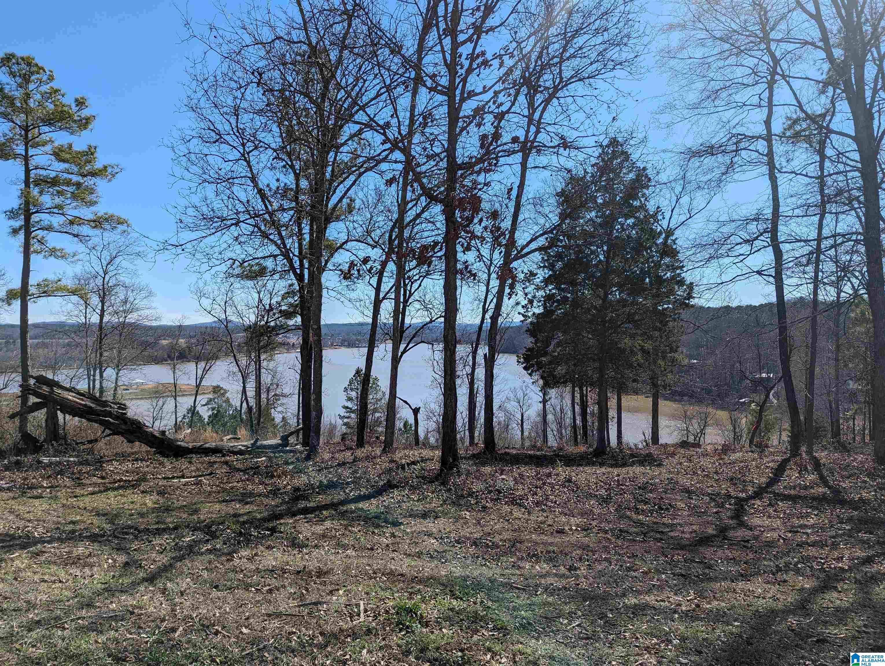 0 Overlook Ridge Lincoln, AL 35096 - Photo 13 of 33