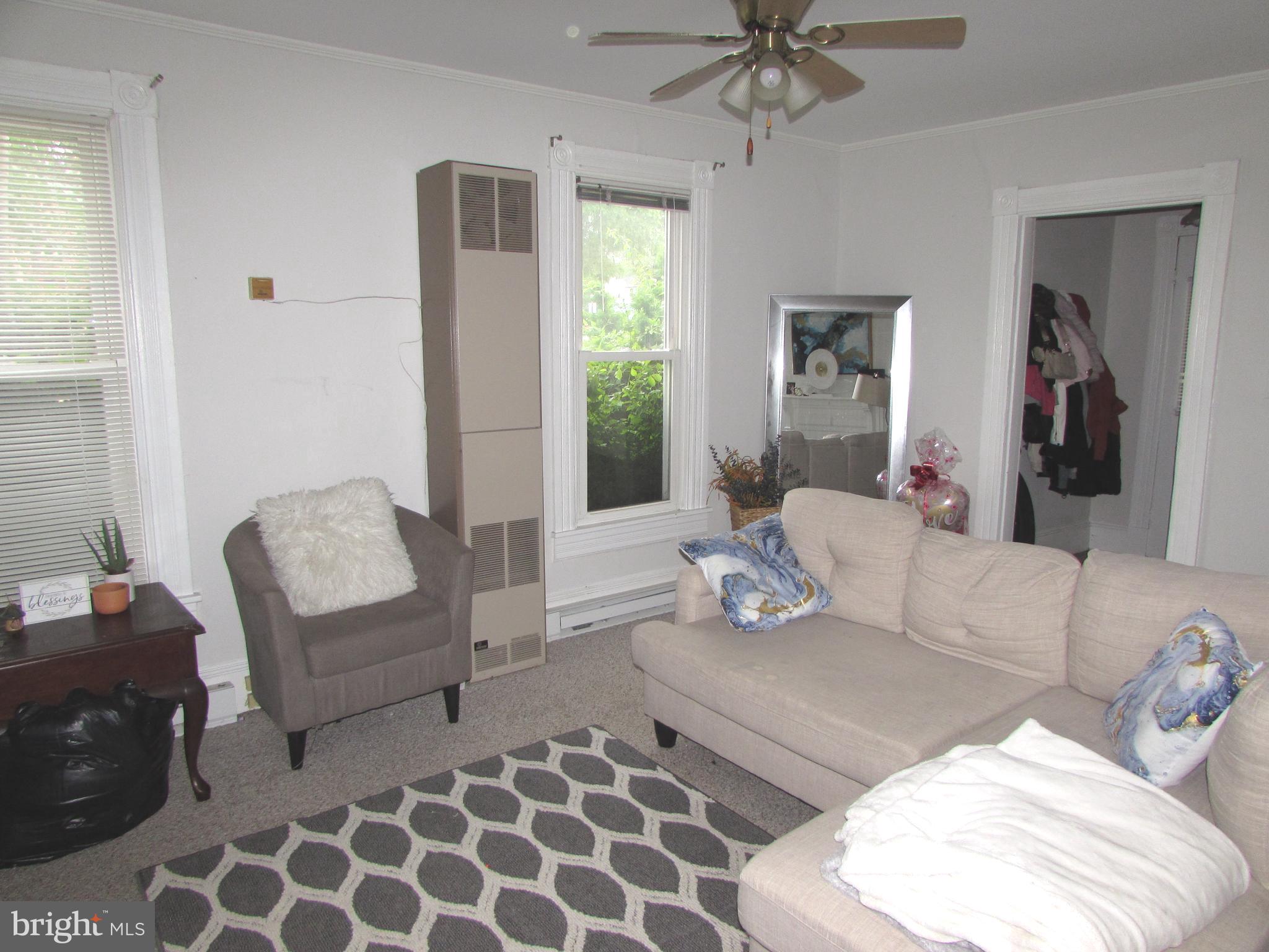 207 Gay Street Denton, MD 21629 - Photo 19 of 25 a living room with furniture and a potted plant