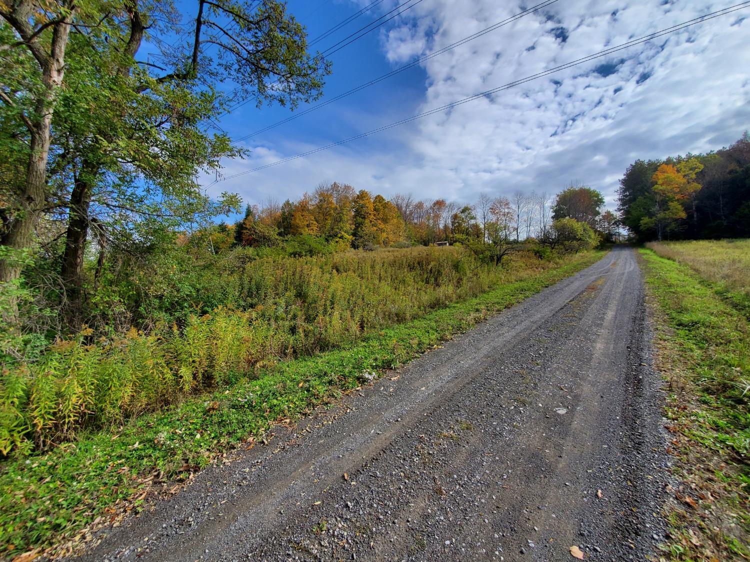 0 Wright Road West Winfield, NY 13491 - Photo 1 of 1 Gallery Image 1