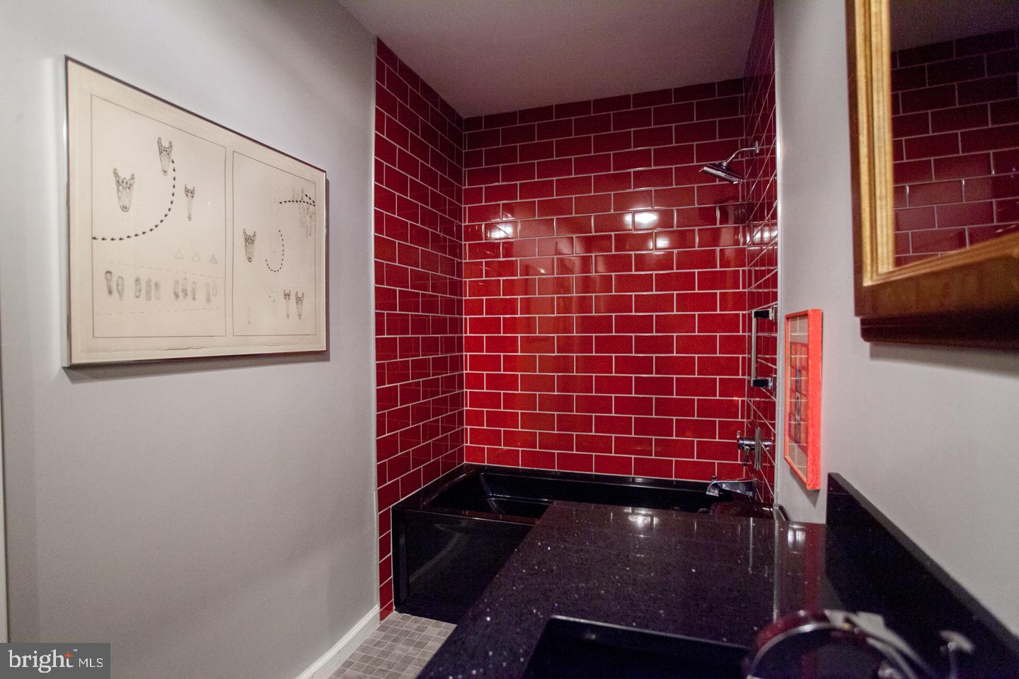 6065 Lower Mountain Road New Hope, PA 18938 - Photo 43 of 48 Love the red...power shower
