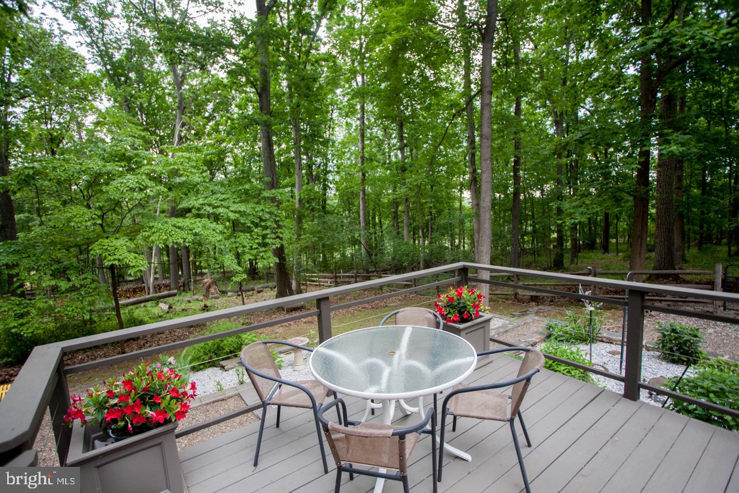 6065 Lower Mountain Road New Hope, PA 18938 - Photo 10 of 48 A wooded setting as your backdrop