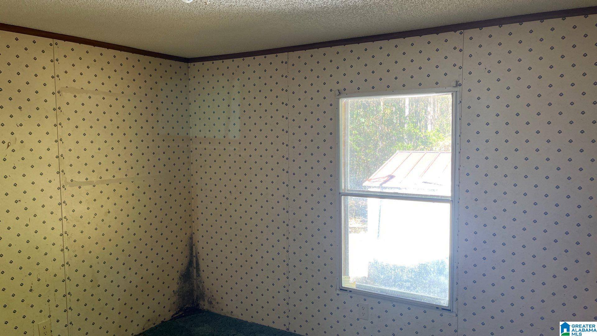 4236 B Lehigh Road Trafford, AL 35172 - Photo 7 of 14